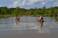 Chuck and finn swim.jpg?ixlib=rails 2.1